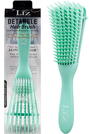 Liz Detangle Hair Brush #DHB99873 -pc