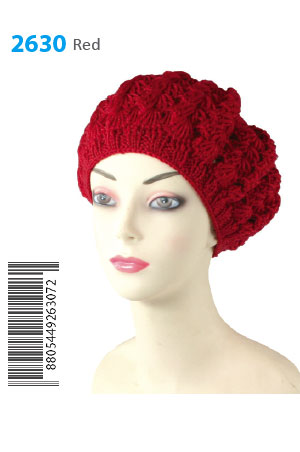 Winter Hat #2630BROWN - pc [Brown]