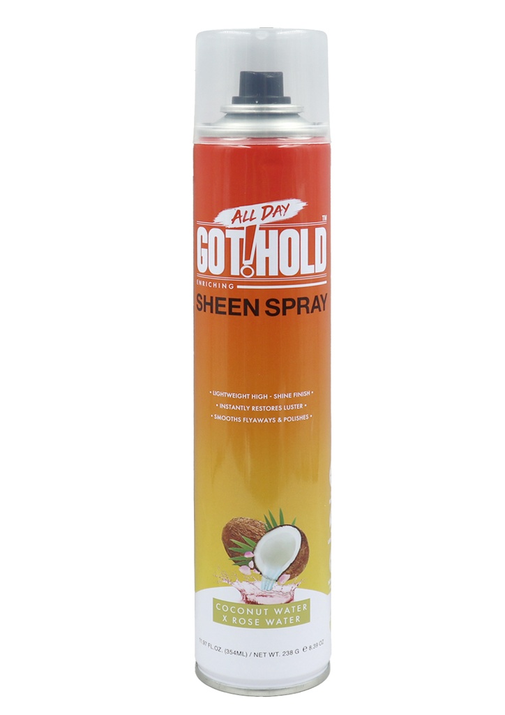 All Day Got!Hold Sheen Spray (11.97 oz) #311