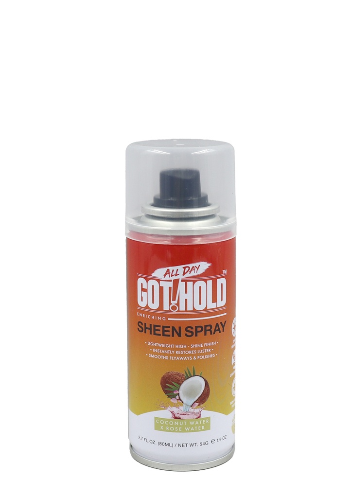 EBIN All Day Got!Hold Sheen Spray (2.7 oz) #312