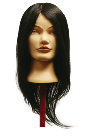 [MG91476] Practice Mannequin HH-#1B M-4040(Brown Face)