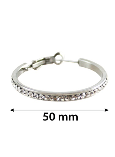 Stone Hoop Earring 5.0 #3227 Silver Clear 5.0 -pair