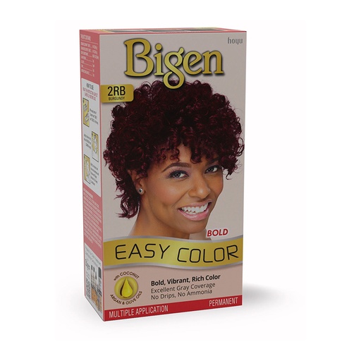 [2RB] Bigen Easy Color for Women | Bold Shades #2RB Burgundy #34