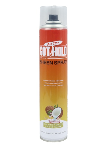 [EBN68612] EBIN All Day Got!Hold Sheen Spray (11.97 oz) #311